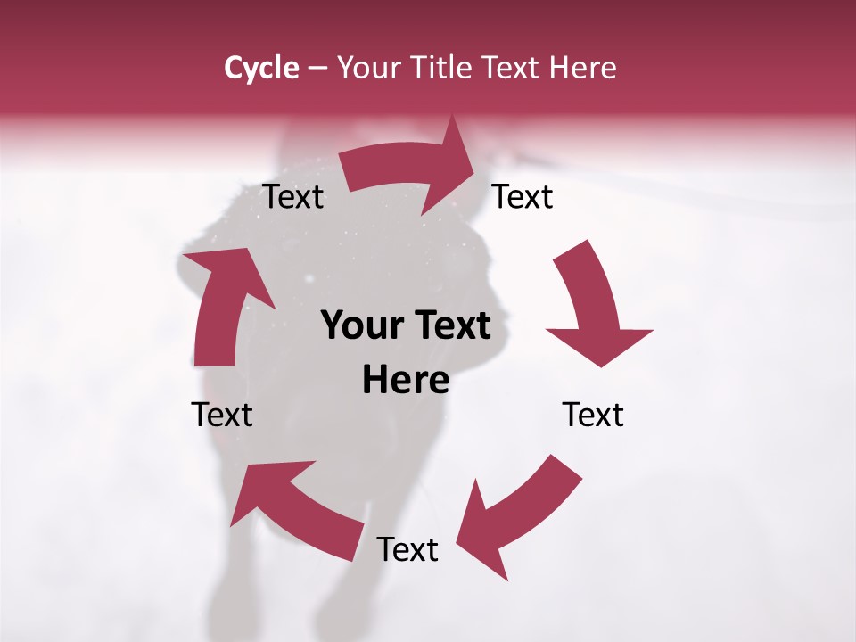 Avalanche Country Friend PowerPoint Template