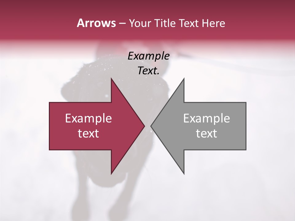 Avalanche Country Friend PowerPoint Template