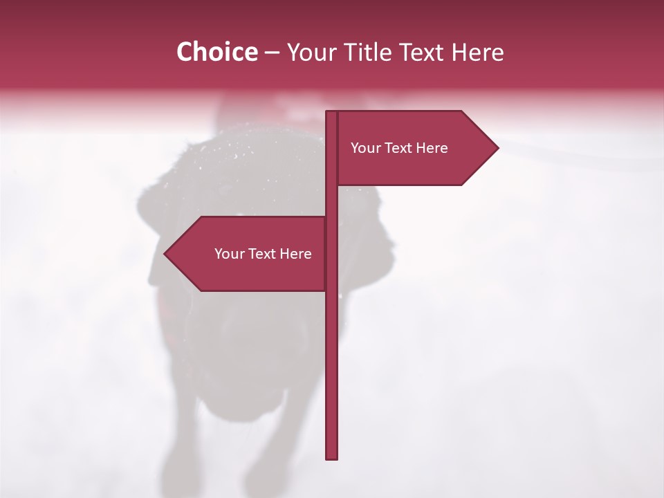 Avalanche Country Friend PowerPoint Template