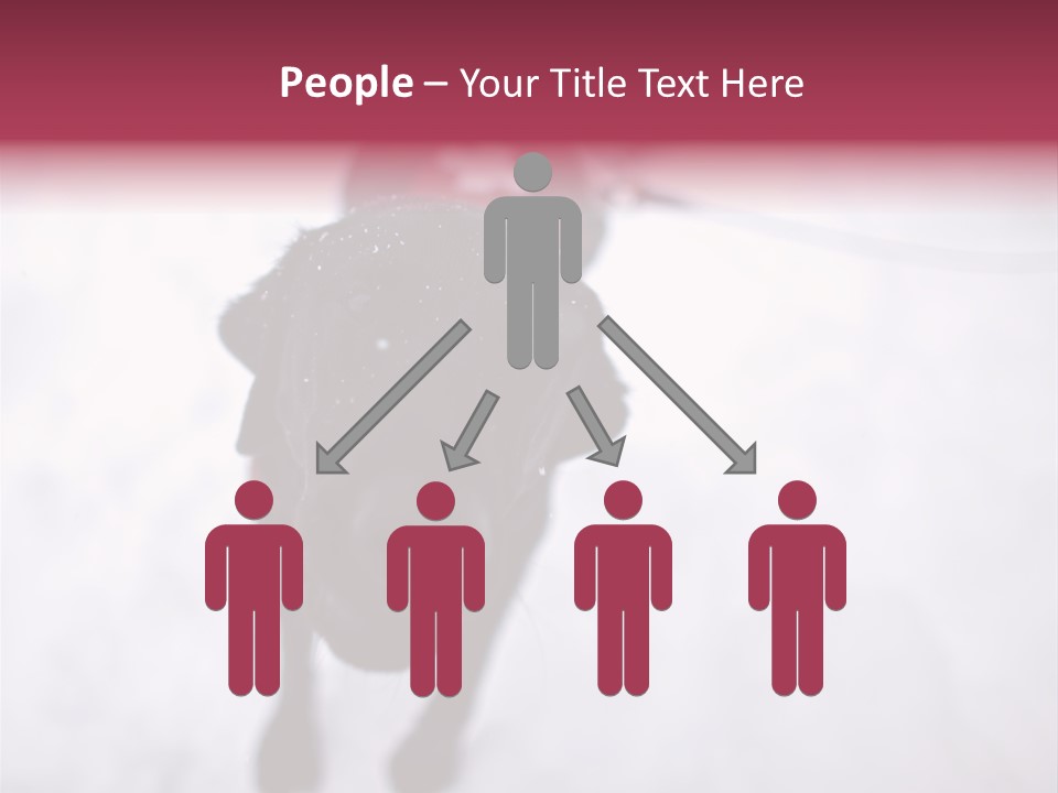 Avalanche Country Friend PowerPoint Template