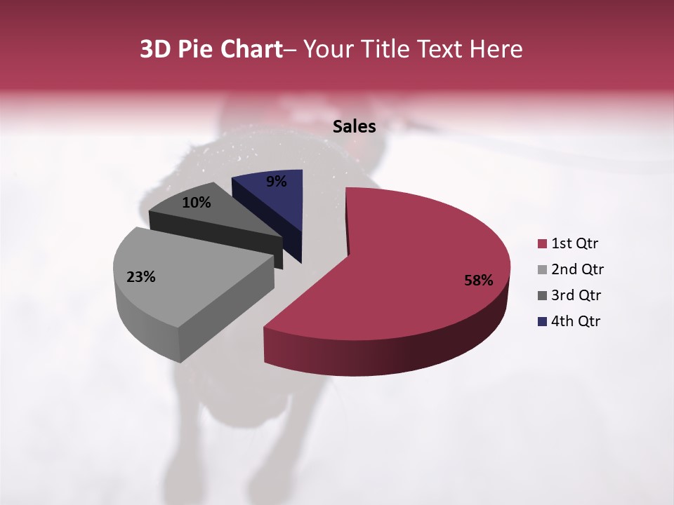 Avalanche Country Friend PowerPoint Template