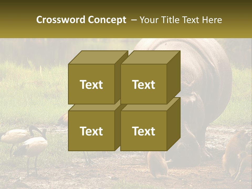 Hippo Bird Animal PowerPoint Template