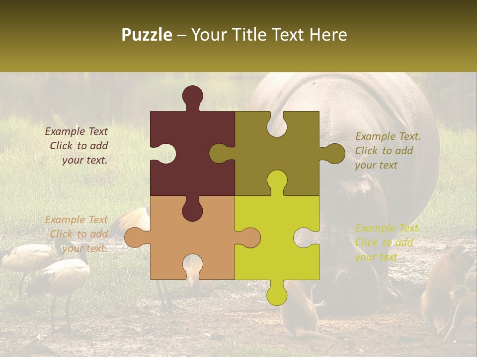 Hippo Bird Animal PowerPoint Template
