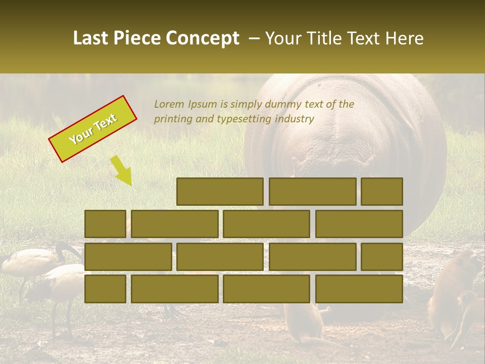 Hippo Bird Animal PowerPoint Template