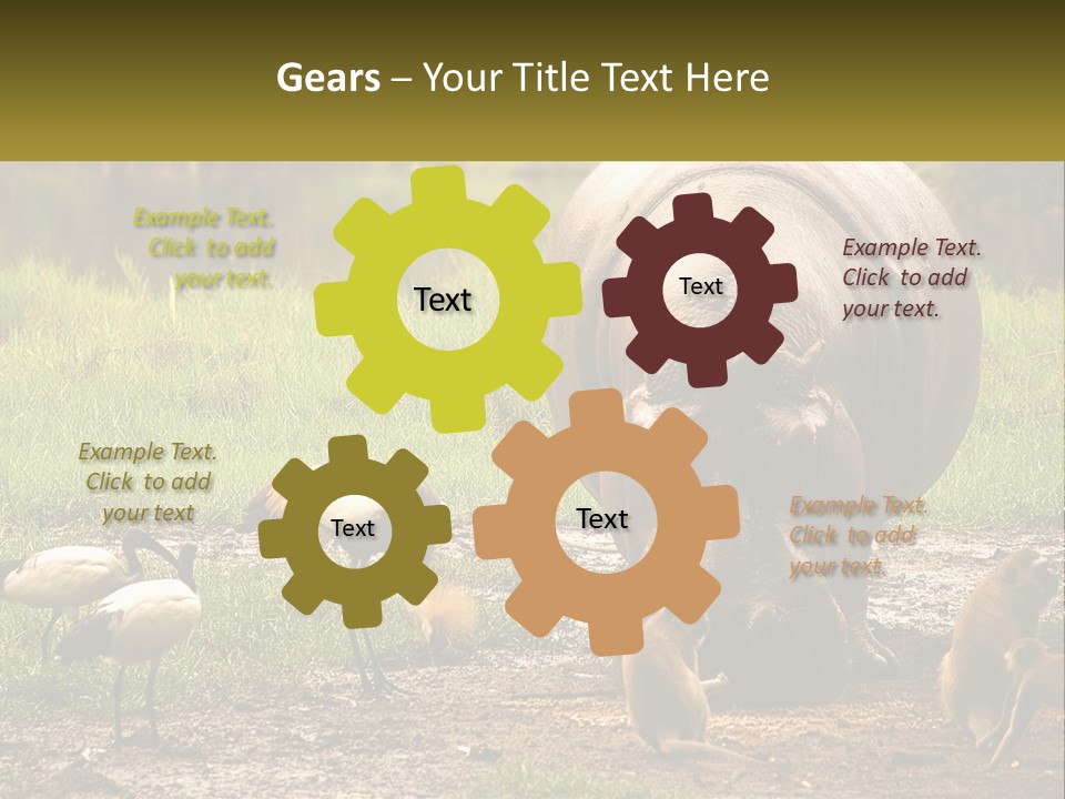 Hippo Bird Animal PowerPoint Template