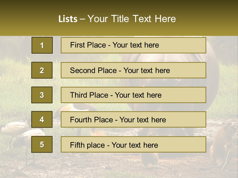 Hippo Bird Animal PowerPoint Template