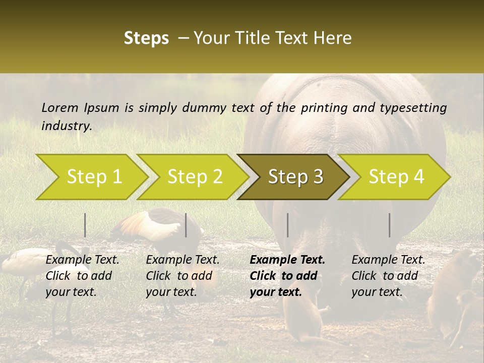 Hippo Bird Animal PowerPoint Template