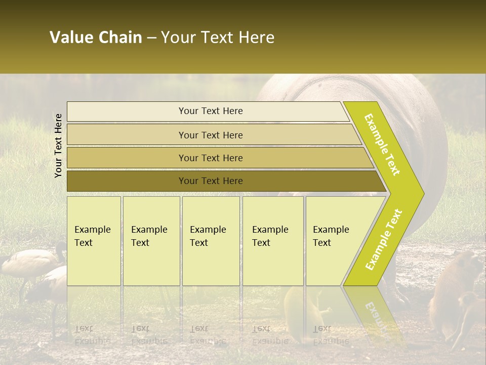 Hippo Bird Animal PowerPoint Template