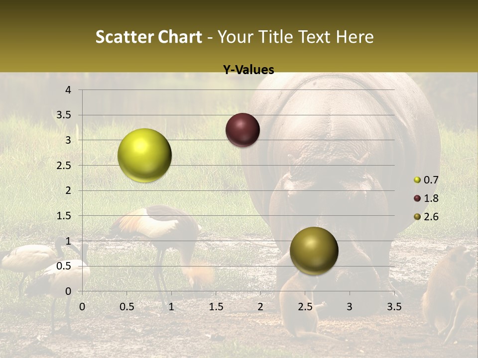 Hippo Bird Animal PowerPoint Template