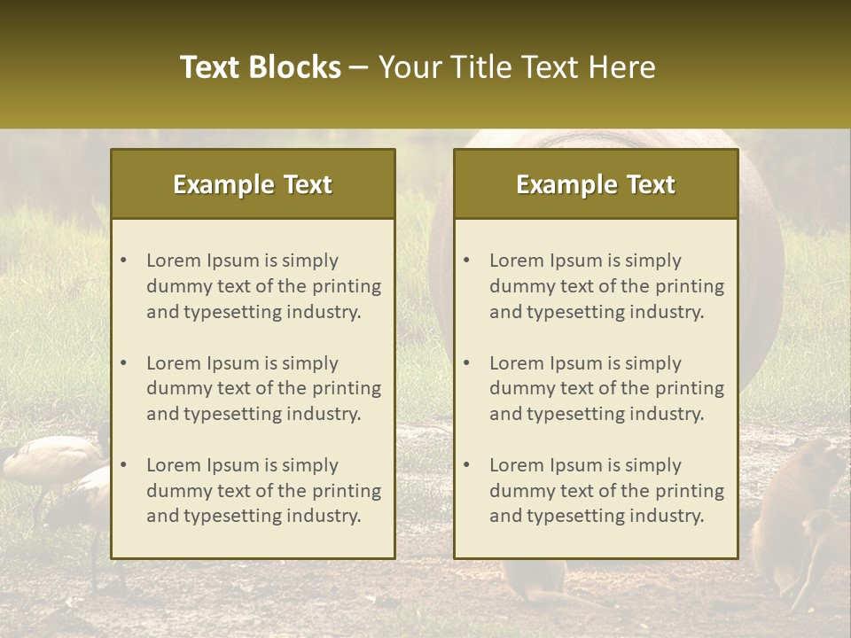 Hippo Bird Animal PowerPoint Template