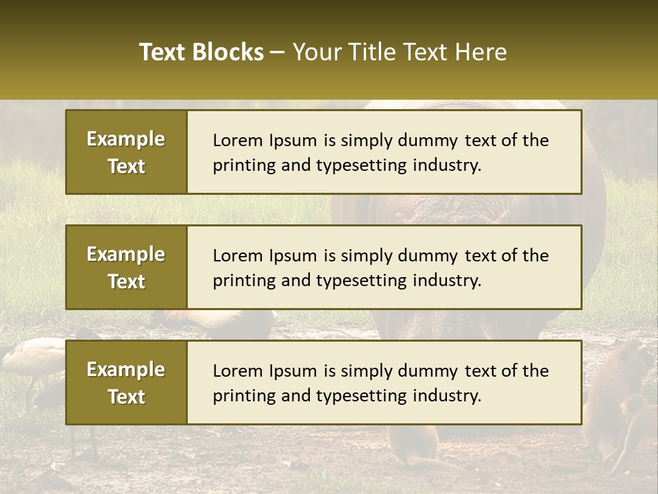 Hippo Bird Animal PowerPoint Template