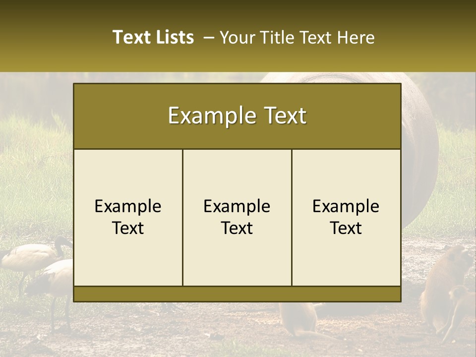 Hippo Bird Animal PowerPoint Template