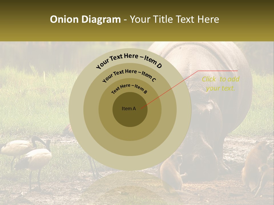 Hippo Bird Animal PowerPoint Template