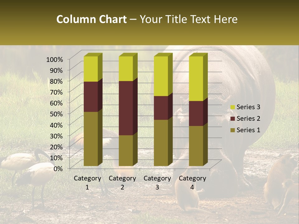 Hippo Bird Animal PowerPoint Template