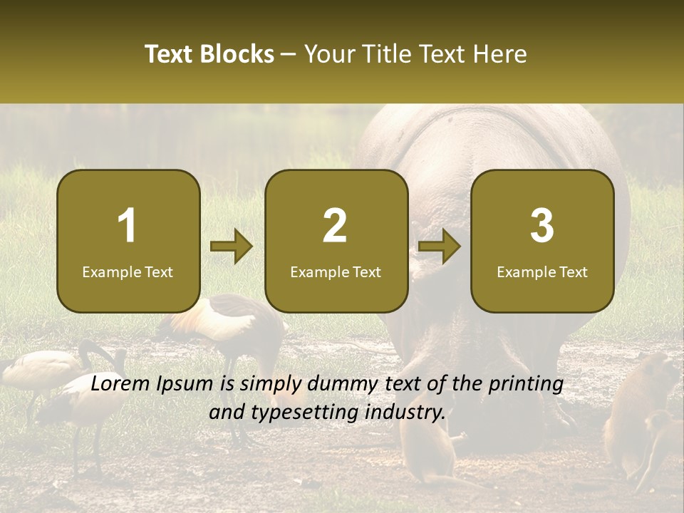 Hippo Bird Animal PowerPoint Template