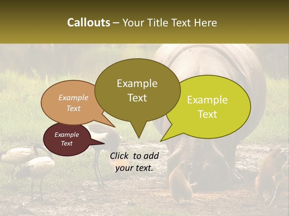 Hippo Bird Animal PowerPoint Template