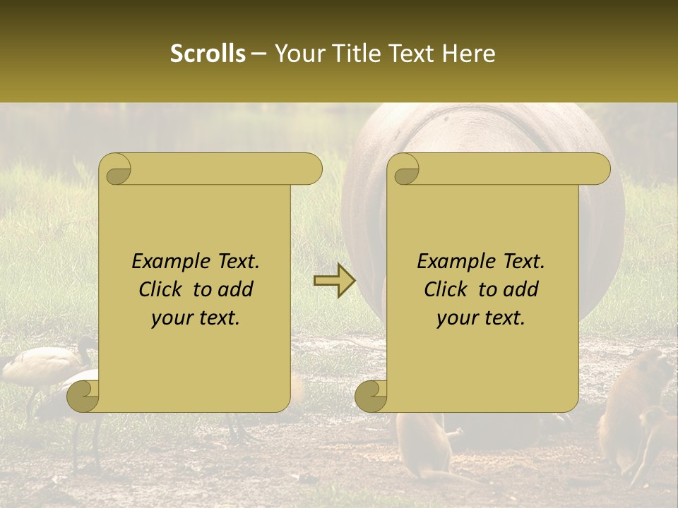 Hippo Bird Animal PowerPoint Template