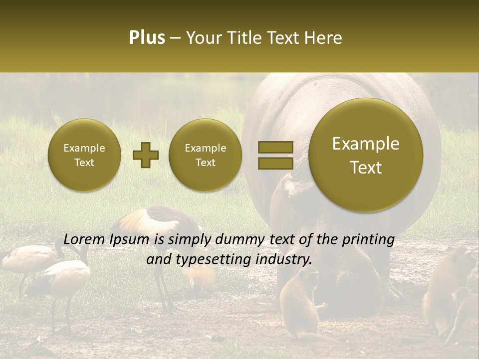 Hippo Bird Animal PowerPoint Template