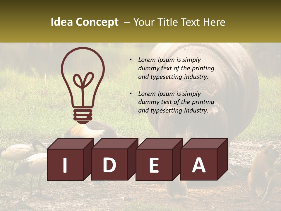 Hippo Bird Animal PowerPoint Template