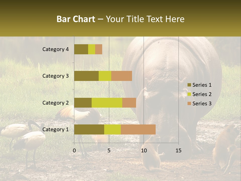 Hippo Bird Animal PowerPoint Template