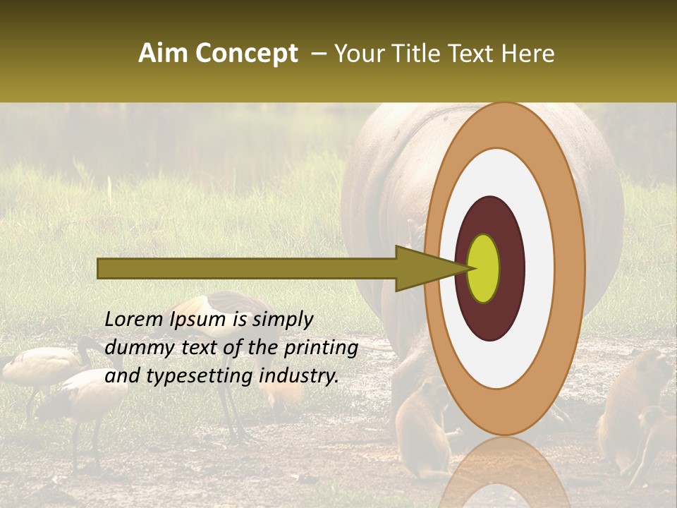 Hippo Bird Animal PowerPoint Template