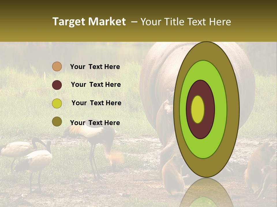 Hippo Bird Animal PowerPoint Template