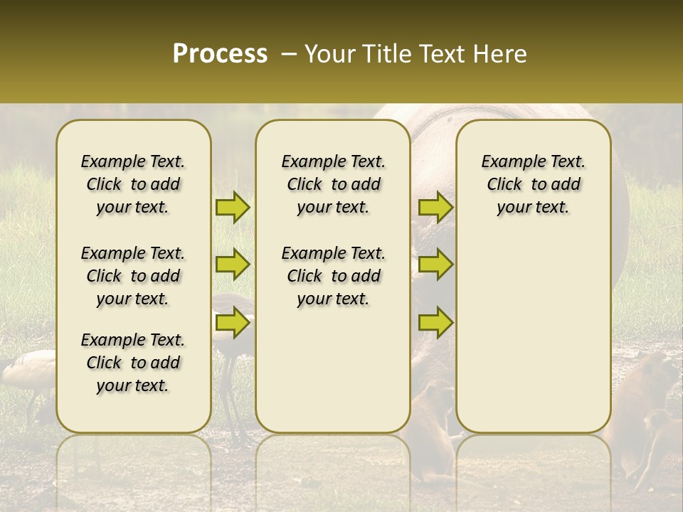 Hippo Bird Animal PowerPoint Template