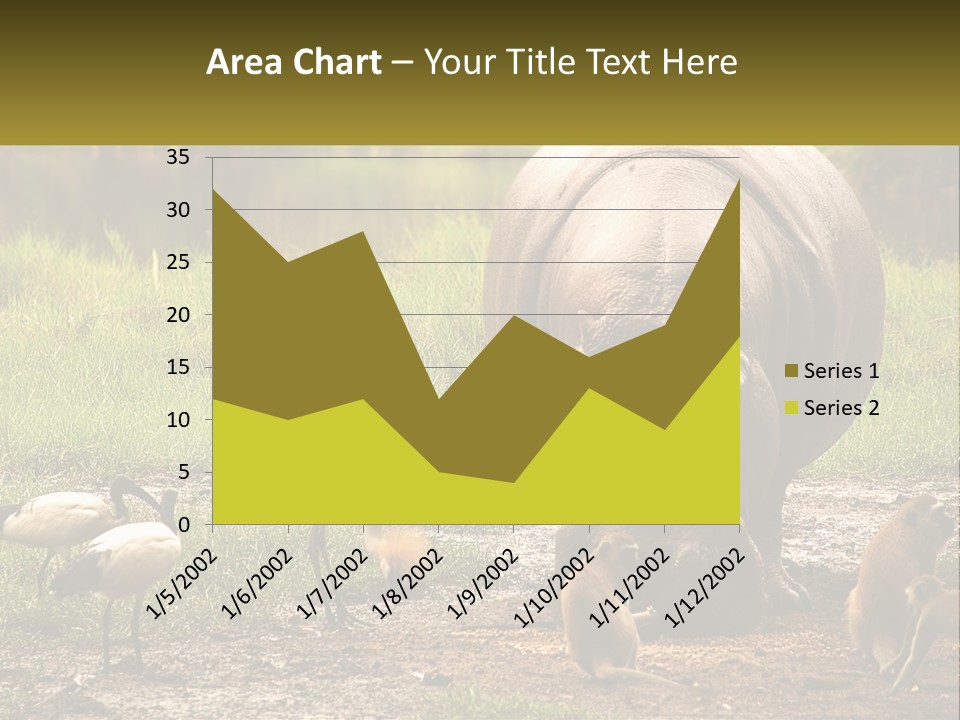 Hippo Bird Animal PowerPoint Template
