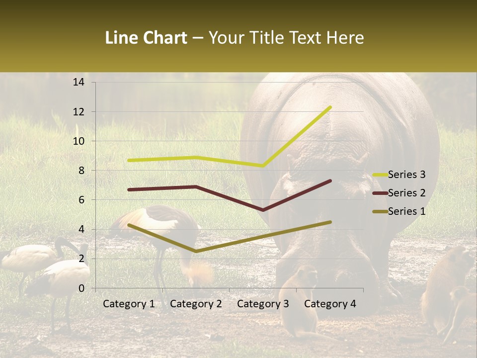 Hippo Bird Animal PowerPoint Template