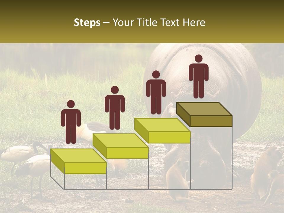 Hippo Bird Animal PowerPoint Template
