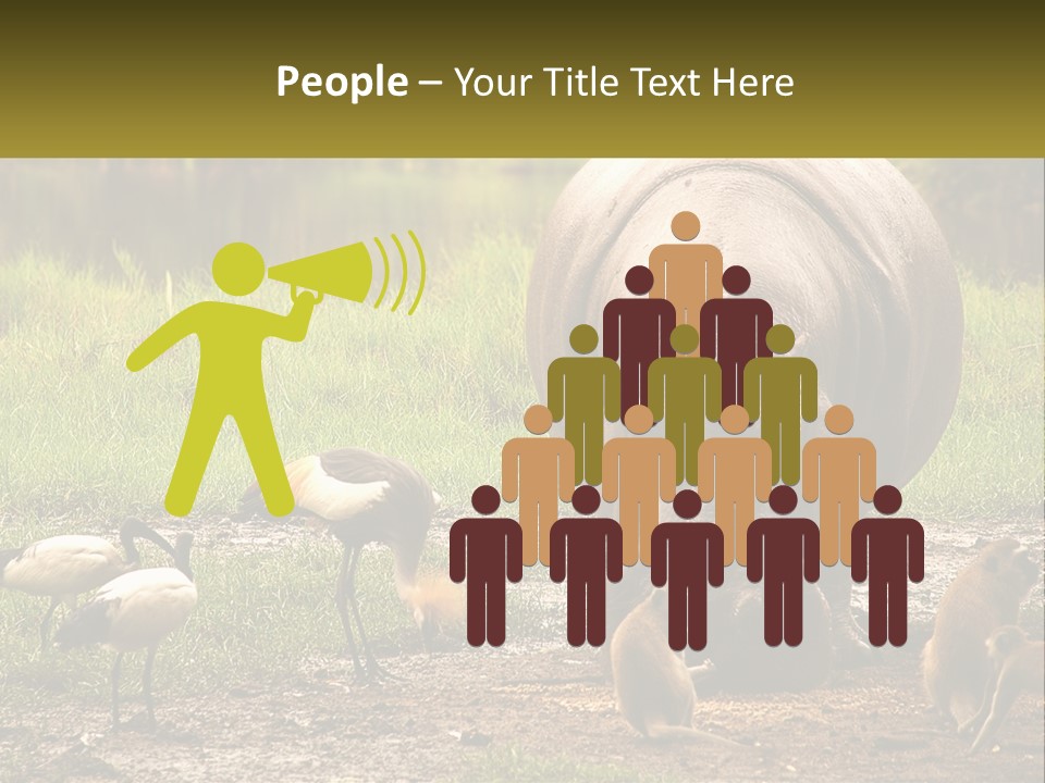 Hippo Bird Animal PowerPoint Template