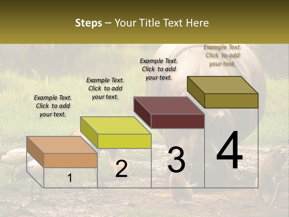 Hippo Bird Animal PowerPoint Template