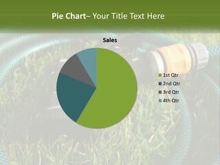 Tube Grass Water PowerPoint Template