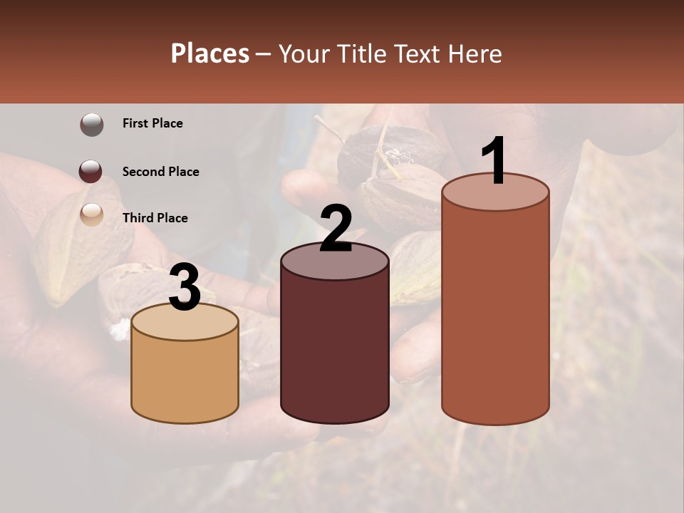 Aboriginal Tucker Edith River PowerPoint Template