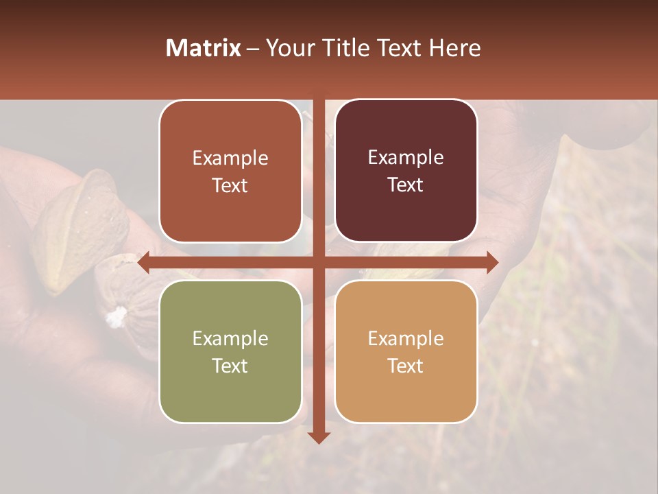 Aboriginal Tucker Edith River PowerPoint Template