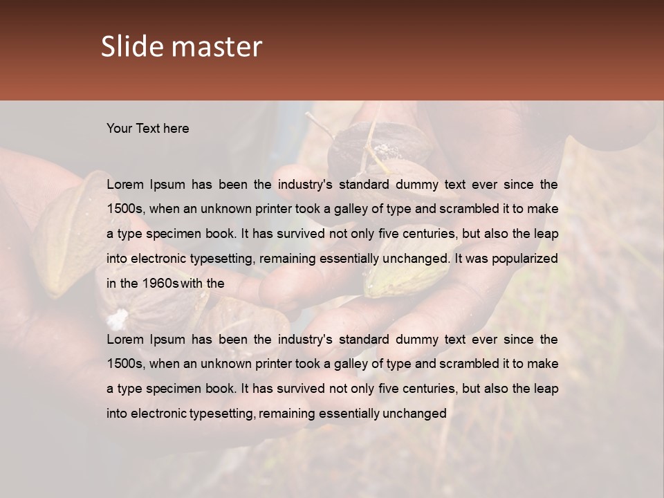 Aboriginal Tucker Edith River PowerPoint Template