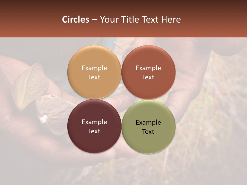 Aboriginal Tucker Edith River PowerPoint Template