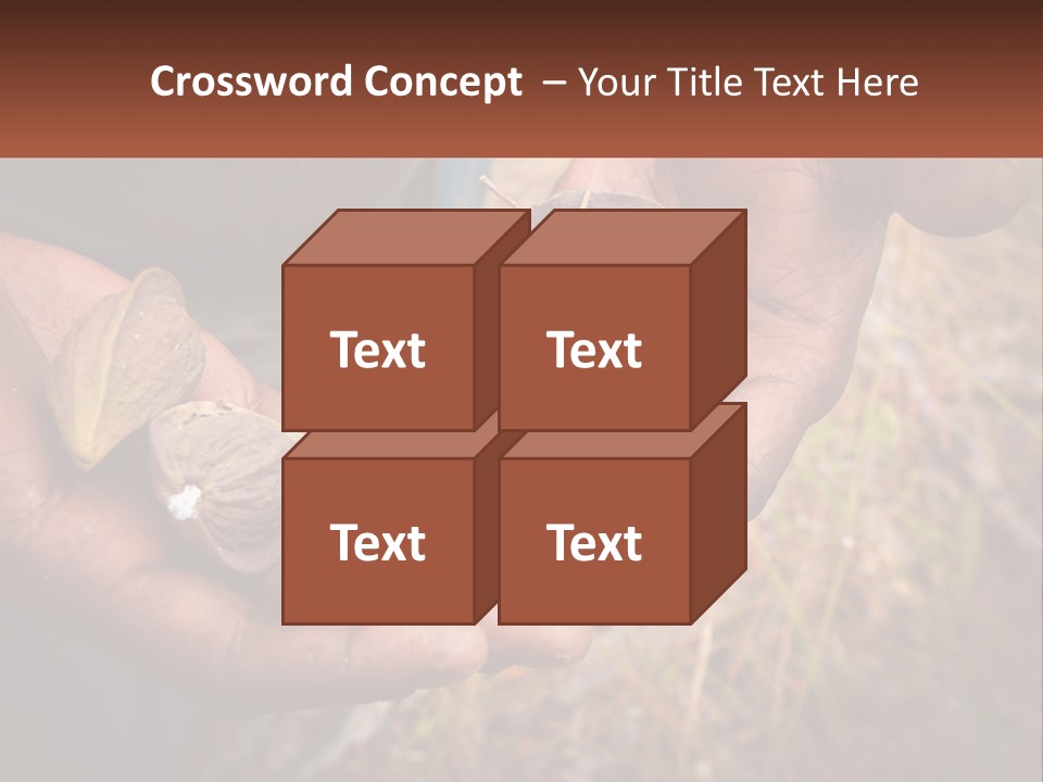 Aboriginal Tucker Edith River PowerPoint Template