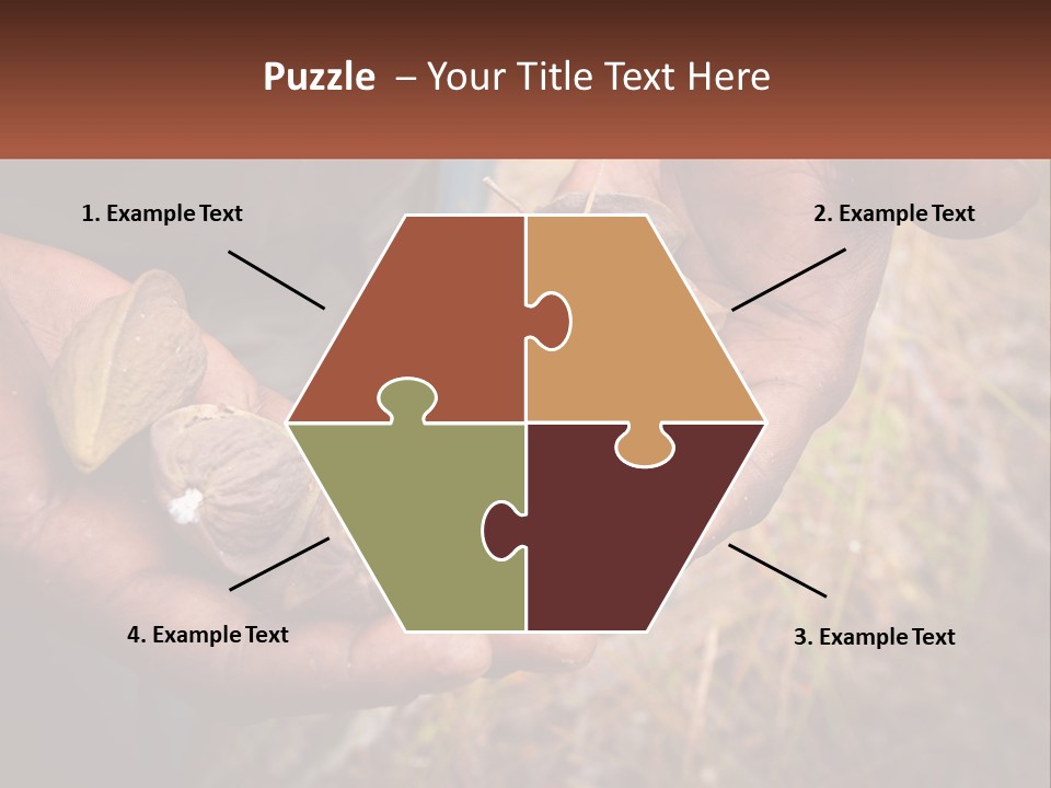 Aboriginal Tucker Edith River PowerPoint Template