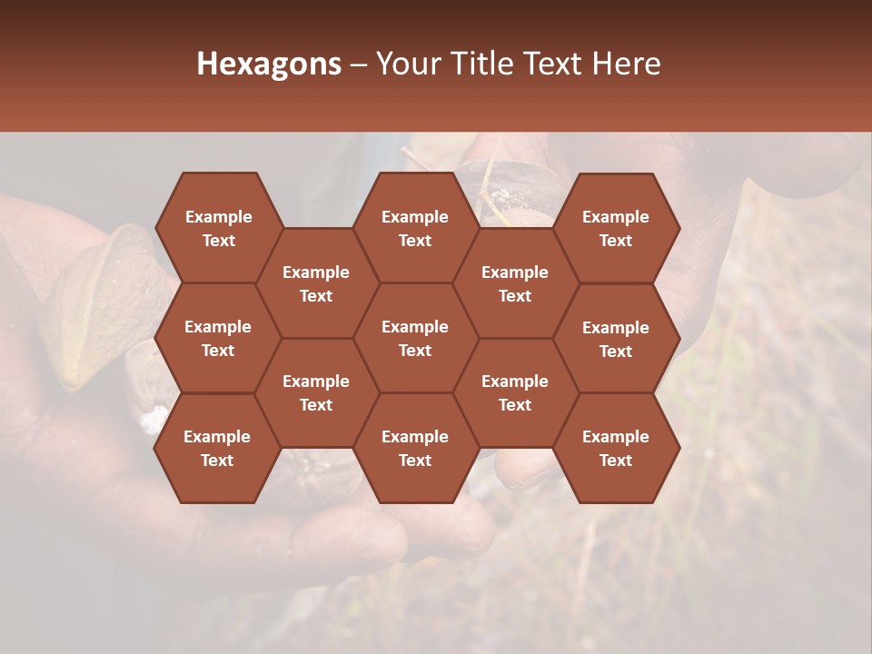 Aboriginal Tucker Edith River PowerPoint Template