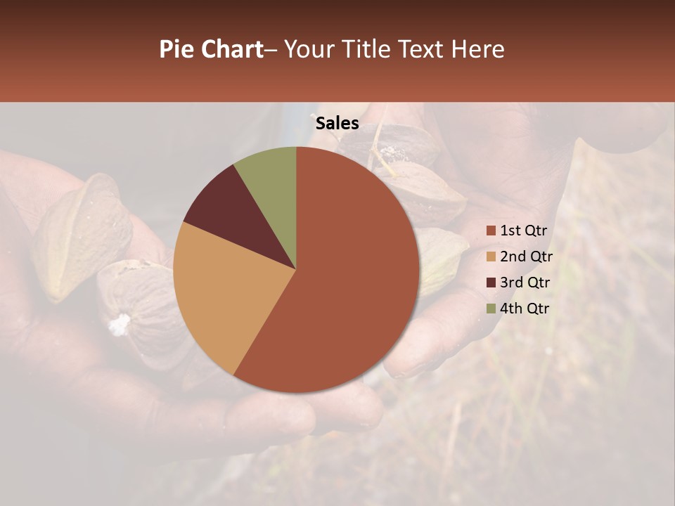 Aboriginal Tucker Edith River PowerPoint Template