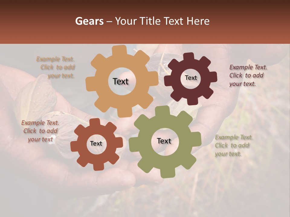 Aboriginal Tucker Edith River PowerPoint Template