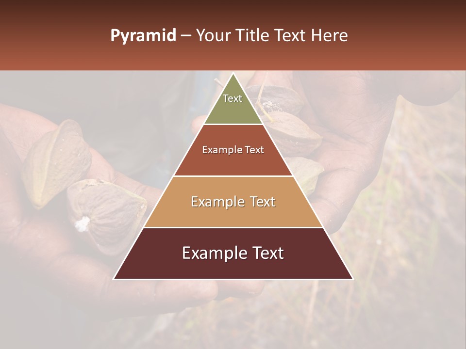 Aboriginal Tucker Edith River PowerPoint Template