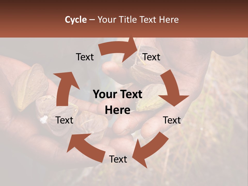 Aboriginal Tucker Edith River PowerPoint Template