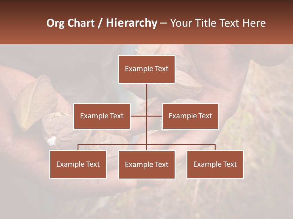 Aboriginal Tucker Edith River PowerPoint Template