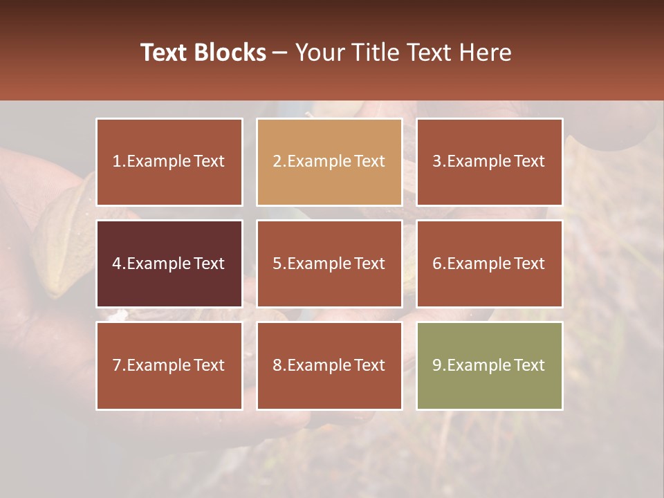 Aboriginal Tucker Edith River PowerPoint Template