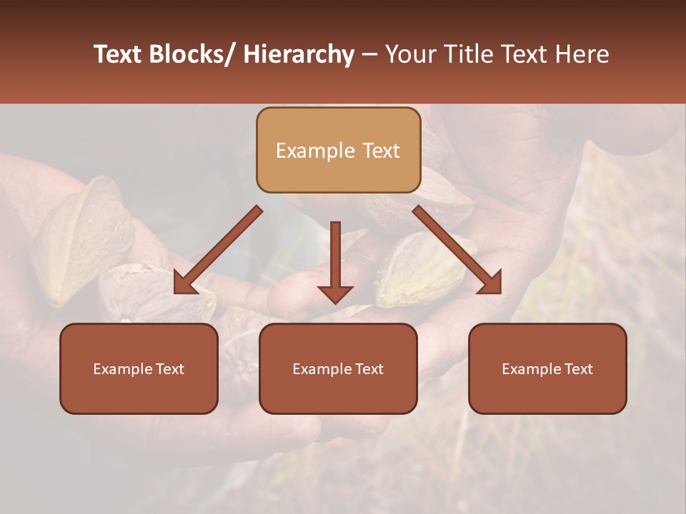 Aboriginal Tucker Edith River PowerPoint Template