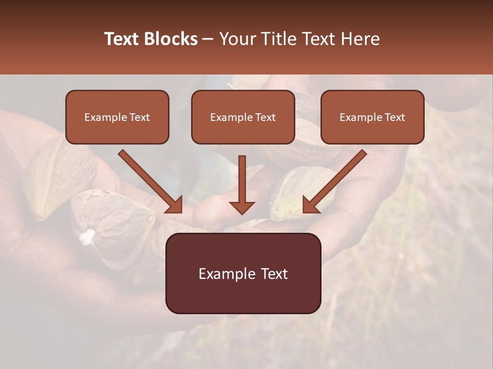 Aboriginal Tucker Edith River PowerPoint Template