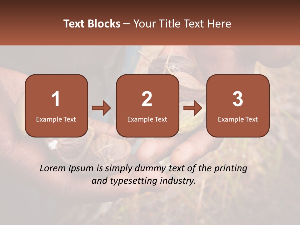 Aboriginal Tucker Edith River PowerPoint Template