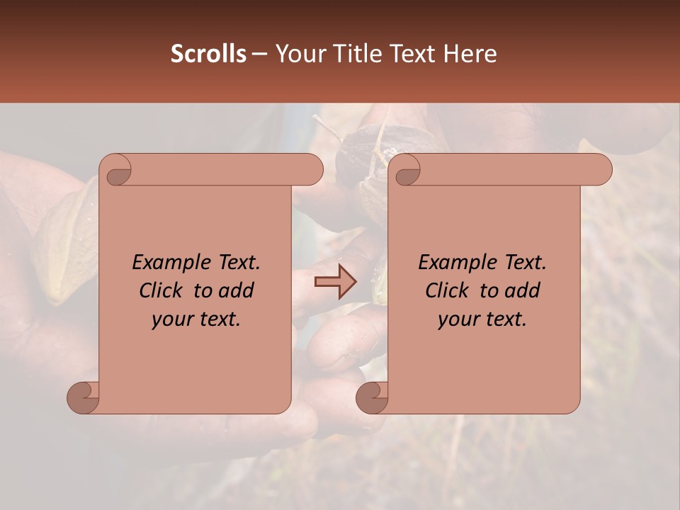 Aboriginal Tucker Edith River PowerPoint Template